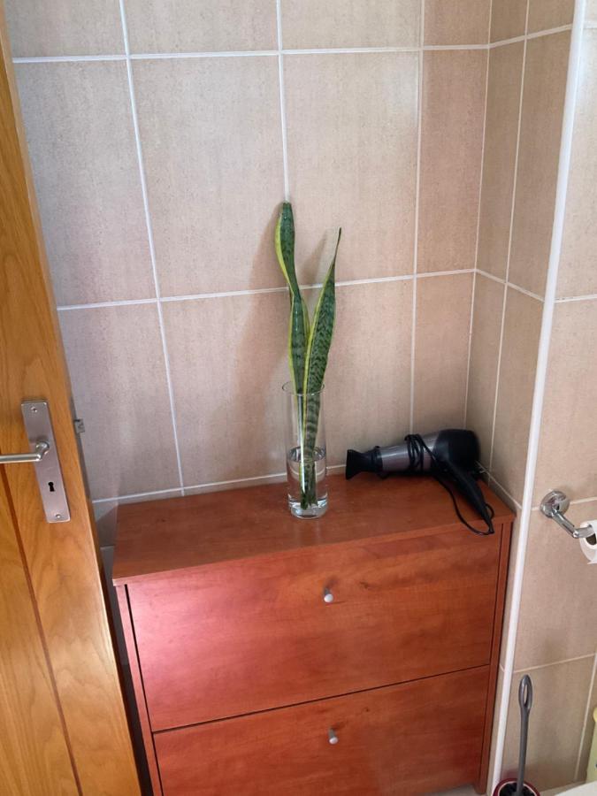 Appartement Moniz *